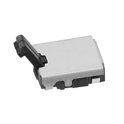 DSW_ESE13V01B.png